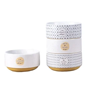 Ceramic Bowl 500ml Round Japanese Ceramic Ramen Bowl  for Hotel  Restaurant Custom White Body  Europe Market  Fruit Bowls